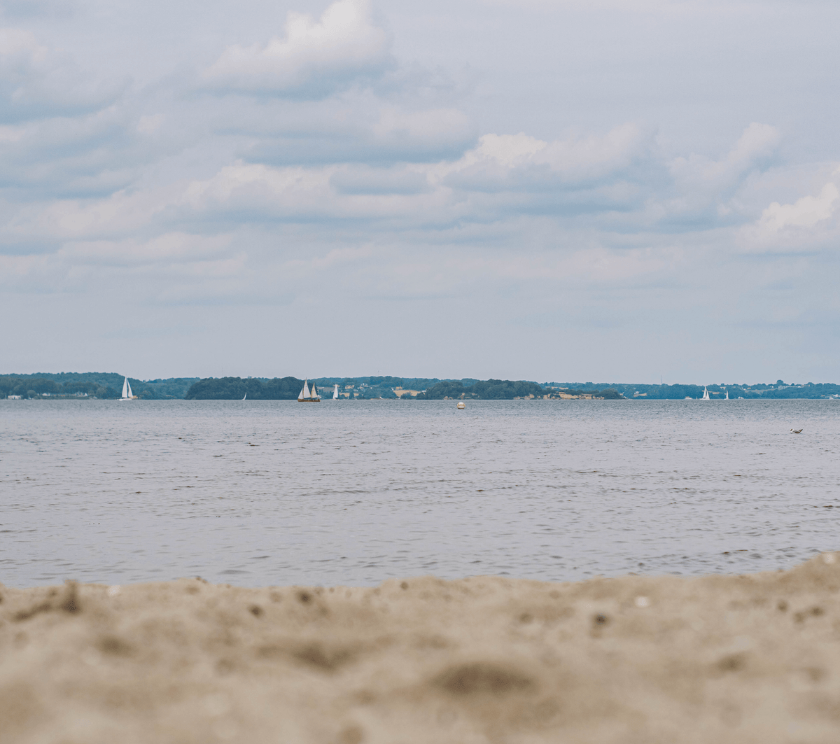 MBRC BETWEEN BIRDS AND PLASTIC BOTTELS - ECKERNFÖRDE CLEANUP-DAG 2022
